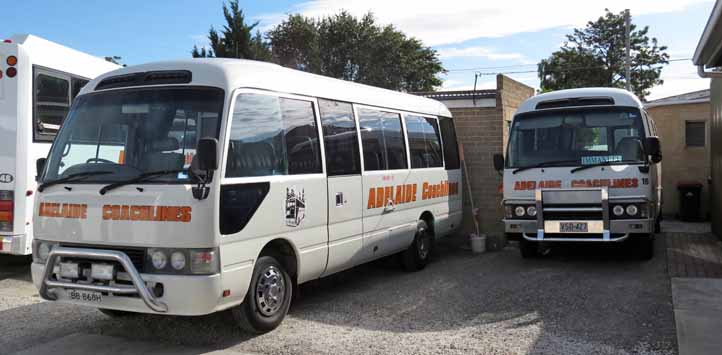 Adelaide Coachlines Toyota Coasters 39 & 16